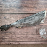 Thumbnail for 美國一級去頭銀鱈魚 (原條代切) 約2.5kg 大約10-15塊