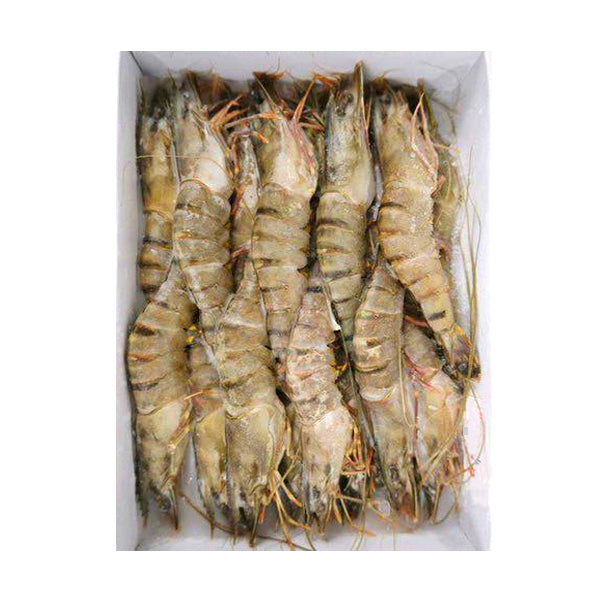 越南原隻虎蝦 (10-12隻裝) (1000g)